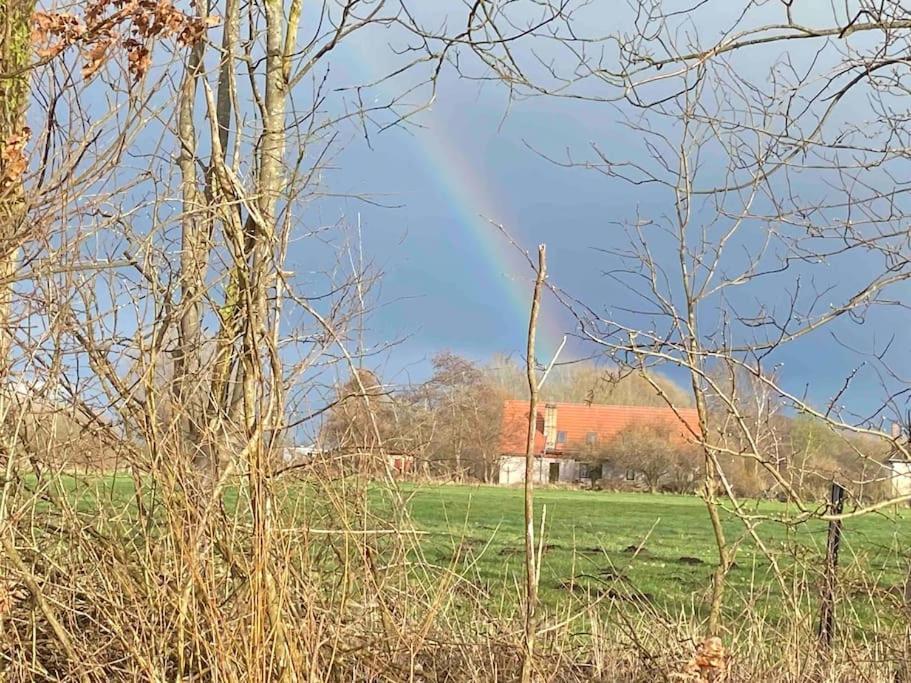 Ferienwohnung Kompass Nahe Der Ostsee Im Gruenen باد دوبيران المظهر الخارجي الصورة